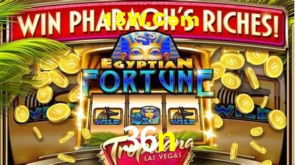 Ofertas Exclusivas 36n